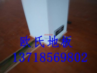 洛陽運動地板價格--洛陽運動地板-洛陽運動木地板-- 北京世紀耐德科技有限公司