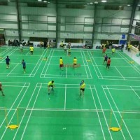 奧麗奇-羽毛球地板-羽毛球pvc地板-羽毛球地膠品牌-羽毛球標(biāo)準(zhǔn)場地-羽毛球場地