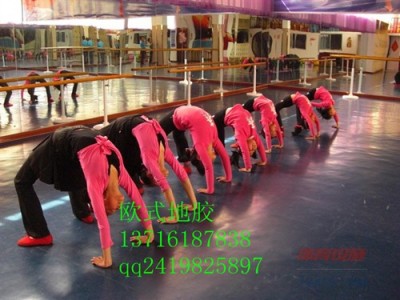 供應舞蹈地膠，軟體舞蹈地膠，專業舞蹈室地膠-- 北京世紀耐德科技有限公司