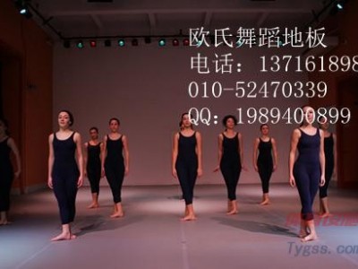 舞蹈專用地膠-進口舞蹈地膠-舞蹈教室地膠-- 北京世紀耐德科技有限公司