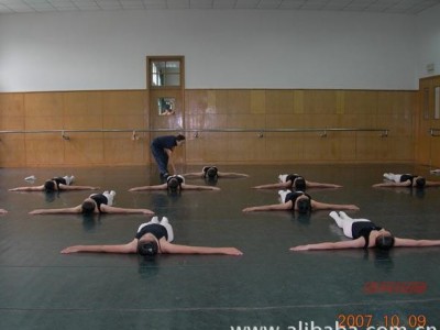 舞蹈地膠，舞蹈塑膠地膠，舞蹈地膠價格-- 北京歐氏地板有限公司