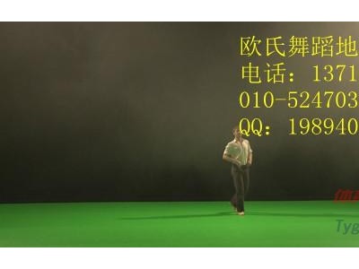 舞蹈室地膠-業舞蹈室地膠-pvc舞蹈室地膠-- 北京世紀耐德科技有限公司