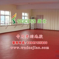 舞蹈地膠牌子-防火舞蹈地膠-舞蹈專業地膠