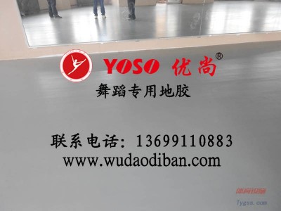 供應(yīng)舞蹈地膠-少兒舞蹈地膠價(jià)格-- 北京優(yōu)尚安耐寶建材有限公司