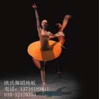 的舞蹈地膠-進口舞蹈地膠價格