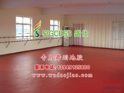 防滑舞蹈地膠生產\t防滑舞蹈地膠-- 鄭州馳華仕科技有限公司