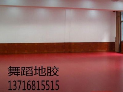 供應音樂學院舞蹈地膠，舞蹈學院用舞蹈地膠，舞蹈地膠-- 北京東方鵬輝科技有限公司