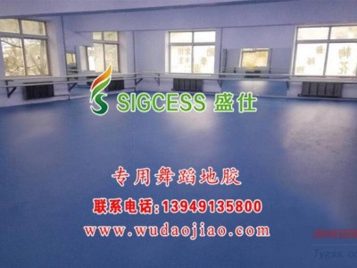 舞蹈教室地膠價(jià)格表-舞蹈地板-舞蹈地膠-舞蹈地膠報(bào)價(jià)-- 鄭州馳華仕科技有限公司