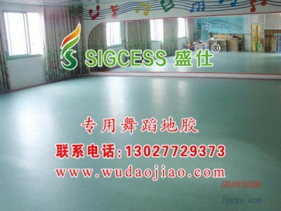 耐磨舞蹈地膠-定制舞蹈地板-舞蹈室地膠-- 鄭州馳華仕科技有限公司
