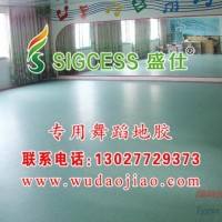 耐磨舞蹈地膠-定制舞蹈地板-舞蹈室地
