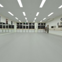 北京舞蹈專用地膠，舞蹈PVC地膠廠家，舞蹈教室地膠，舞蹈地膠