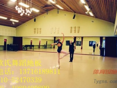 舞蹈教室地膠-pvc舞蹈地膠價格-卷材舞蹈房教學-- 北京世紀耐德科技有限公司
