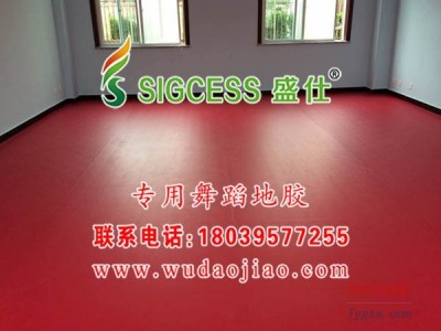 舞蹈教室地板-舞蹈地膠板-pvc舞蹈地板-舞蹈地膠價格-舞蹈pvc地膠-舞蹈室專用地膠-舞蹈地膠的價格-- 鄭州馳華仕科技有限公司