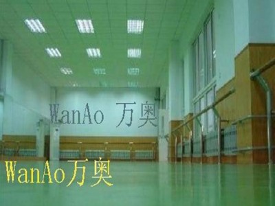 供應杭州舞蹈地膠-合肥舞蹈地膠-- 上海萬奧塑膠地板有限公司