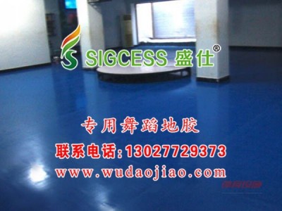 舞蹈地膠怎么賣-供應舞蹈地膠-- 鄭州馳華仕科技有限公司