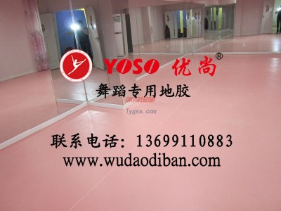 供應(yīng)舞蹈地膠，專業(yè)pvc舞蹈地膠-- 北京優(yōu)尚安耐寶建材有限公司