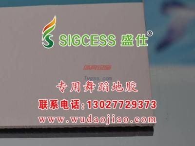 重慶舞蹈地膠價格--進口舞蹈地膠-- 鄭州馳華仕科技有限公司