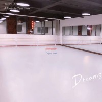 南京騰方高端品質5mm舞蹈PVC地板-專業舞蹈塑膠地板-舞蹈房PVC地膠-抗劃痕舞蹈房地膠-兒童樂園pvc地板