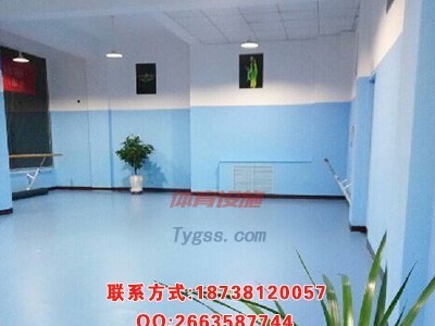 舞蹈地膠地板-舞蹈地膠價格-專業舞蹈地膠地板-舞蹈地膠板價格-- 鄭州馳華仕科技有限公司