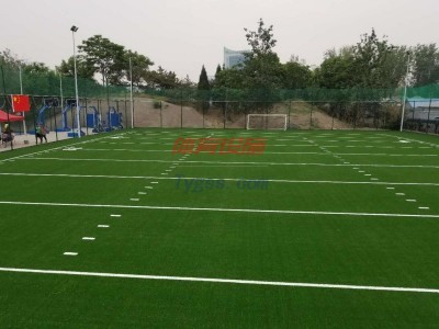 學(xué)校足球場草坪 足球場人造草坪價格-- 北京天實永健體育科技發(fā)展有限公司