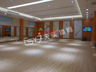舞蹈室專用塑膠地板 舞蹈室地膠推薦-- 北京天實永健體育科技發(fā)展有限公司