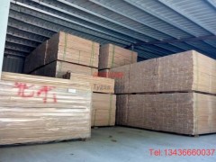 東興室內運動木地板多少錢