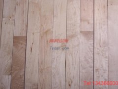 閬中室內運動木地板多少錢