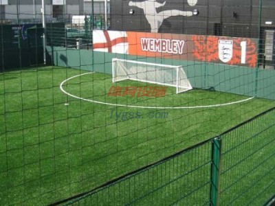 帶頂籠式球場圍網-- 安平縣中林絲網制品有限公司