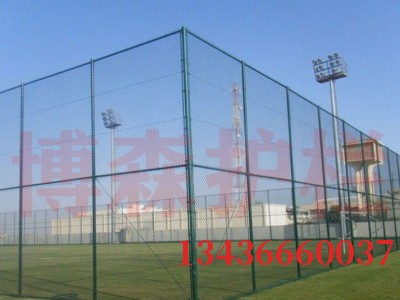 勾花網護欄網-- 河北博森金屬制品有限公司