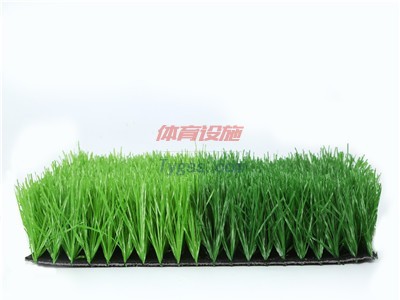 人造草坪 仿真草坪免費拿樣全國發(fā)貨-- 任丘綠坪環(huán)保有限公司