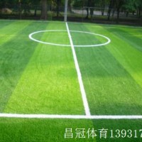 足球場仿真草坪生產廠家