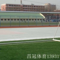 學校國標足球門生產廠家