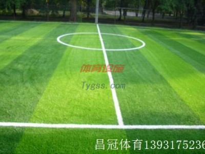 標準足球場人造草坪生產廠家-- 滄州昌冠體育設施有限公司