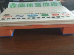 四川標準單龍骨體育木地板保養(yǎng)