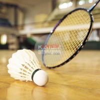 凱潔室內(nèi)籃球場專用地板-體育館楓樺木地板-實木運動地板