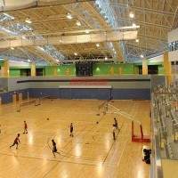 體育地板--運動木地板-實木運動地板-體育木地板-籃球館木地板