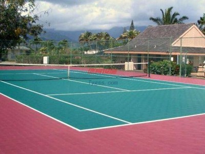 成龍教學--運動場塑料地板-懸浮地板廠家--懸浮式拼裝運動地板-- 鄭州成龍教學設(shè)備有限公司