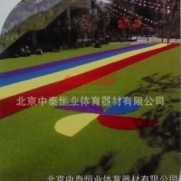 足球場(chǎng)地施工-塑膠球場(chǎng)-運(yùn)動(dòng)草坪-球