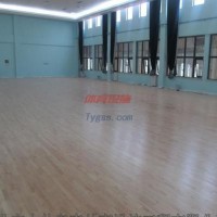 中體奧森/籃球場(chǎng)木地板/籃球場(chǎng)木地板