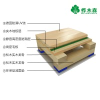 內蒙古通遼市運動木地板安裝、體育館建設