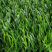 深圳人造草坪_幼兒園草坪_香港人造草