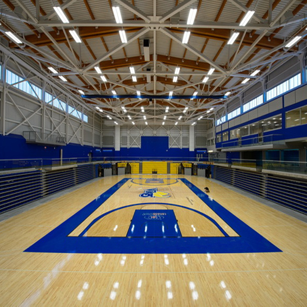 體育專用運(yùn)動(dòng)木地板施工工藝 體育運(yùn)動(dòng)木地板安裝