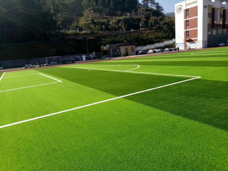 QQ圖片20190314095954