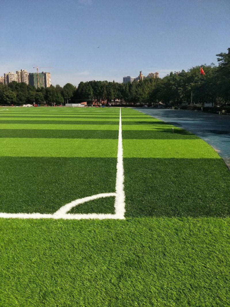 QQ圖片20200417150745