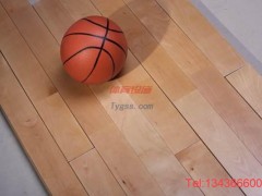 歐氏運動木地板的參數