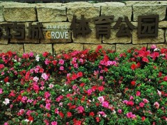 運動木地板施工案例-重慶江與城體育公園