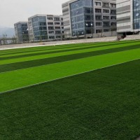 大連足球場人造草坪廠家