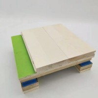 河北滄州運動木地板生產商