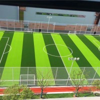 50mm,PE人造草足球場是多少錢一個平方？