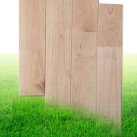 籃球運(yùn)動(dòng)館   運(yùn)動(dòng)木地板